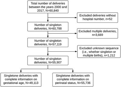 Joint Modeling of Singleton Preterm Birth and Perinatal Death Using Birth Registry Cohort Data in Northern Tanzania